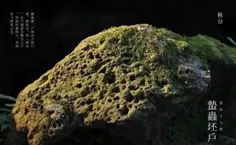 秋分中国农民丰收节会议视频,秋分共庆中国农民丰收节