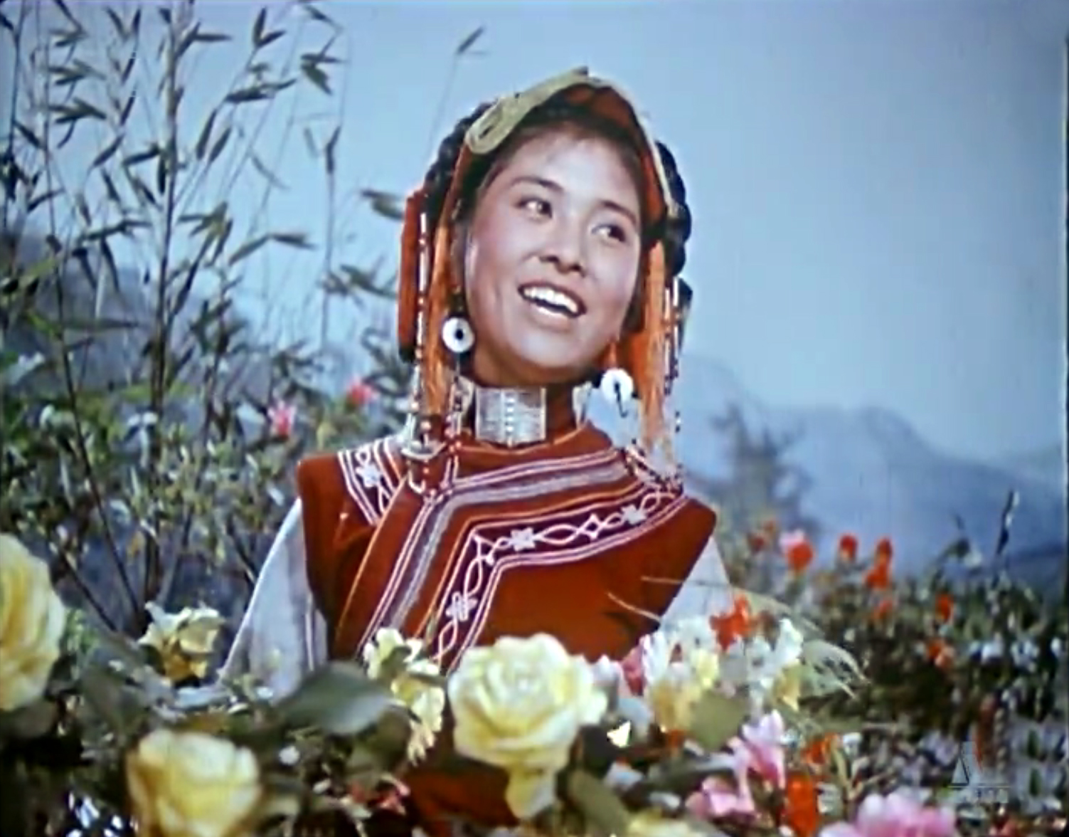 张圆年轻时照片,老演员张圆作品