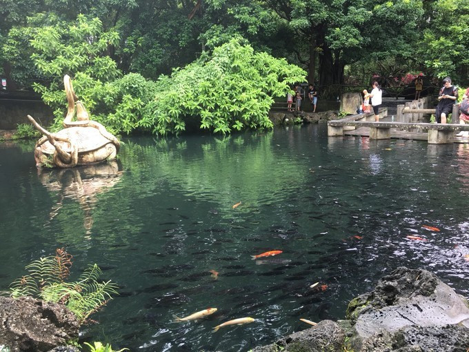 海南吃喝玩乐全攻略海口美食篇,海口旅游攻略美食路线推荐