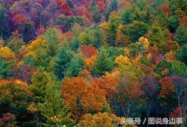 秋的句子短句,秋是一个充满诗意的季节