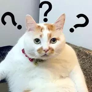 “男男”成考试素材网友：不怕法考难，只怕“男上加男”