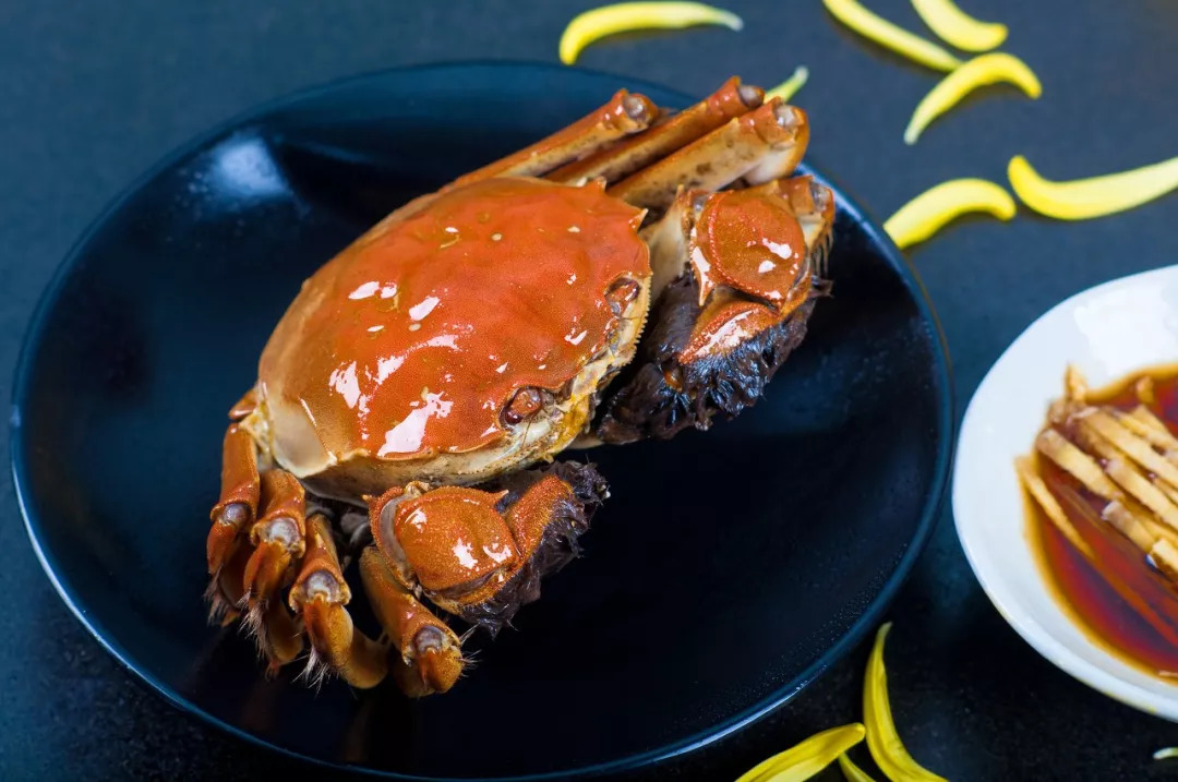 蟹黄蟹膏到底是蟹的什么器官,蟹黄和蟹膏是螃蟹的什么器官