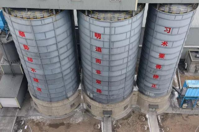 全行业95%都在赔，独他34年无亏损，年净利数十亿，凭啥？