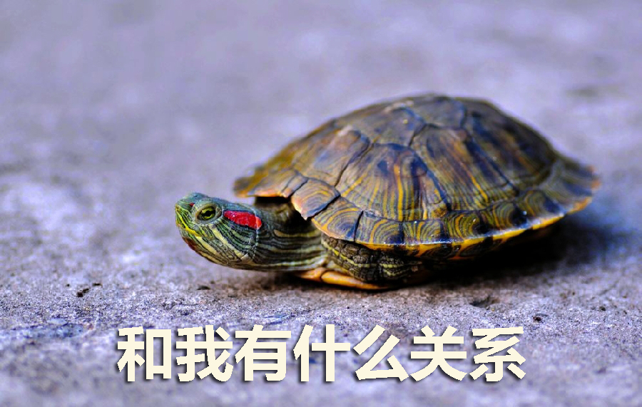 历史轻知识合集,历史轻知识