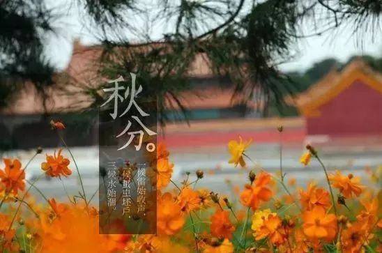 秋天适合旅游的地方易县,清西陵秋冬美景