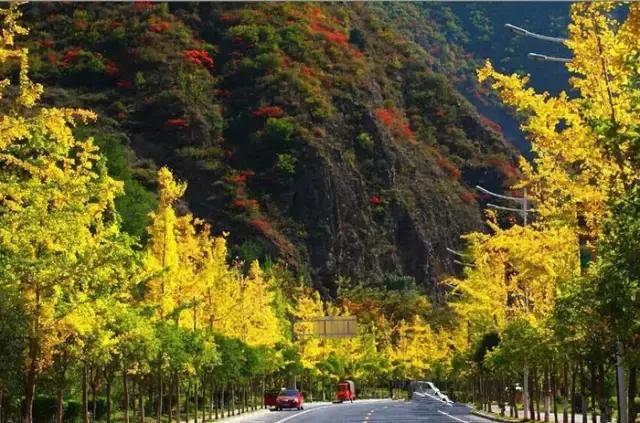 8条进藏绝美公路现在路况如何,一条绝美的进藏公路