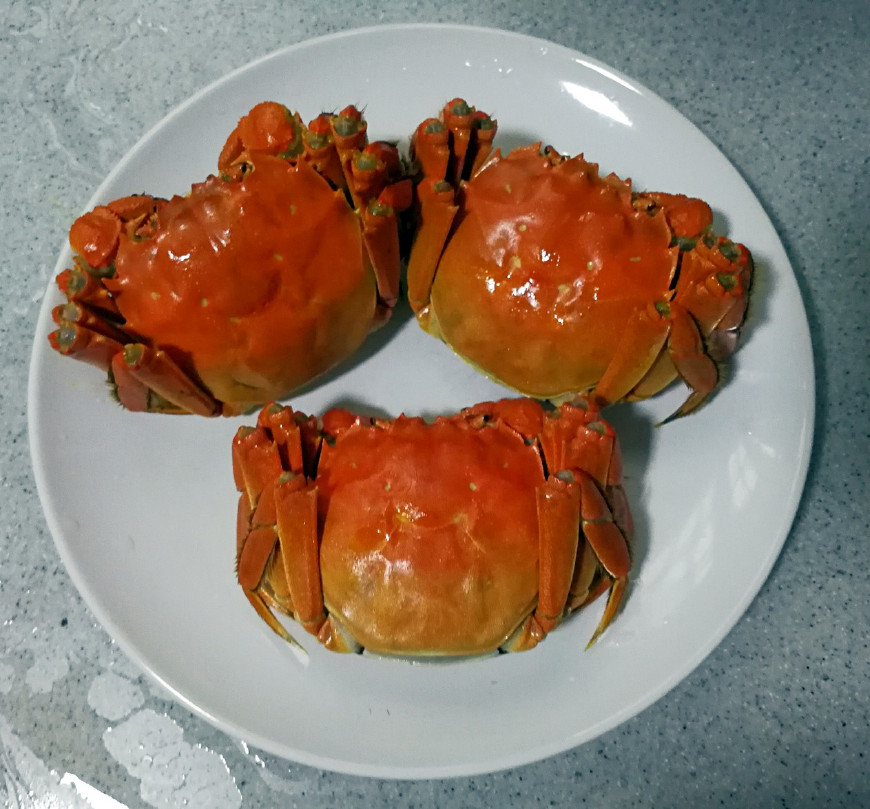 清蒸大闸蟹的正确的吃法,蒸大闸蟹不放姜只放紫苏