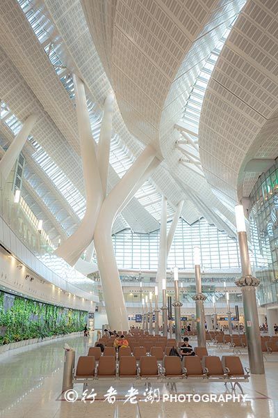 广州南至香港西九龙高铁如何过关,广深港高铁48分钟带你去香港