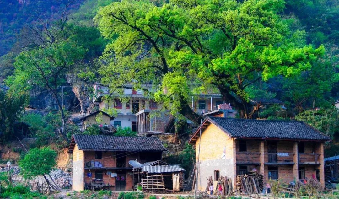 游乐界一周新闻热点回顾,中国一周新闻