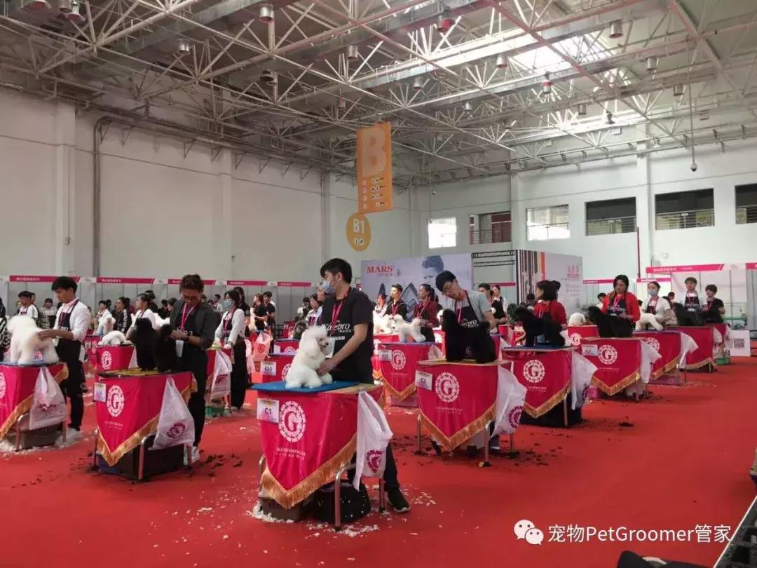 宠物美容师资格考试课程,宠物美容师证书考试题库