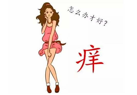 一睡床上就感觉有虫子咬痒痒的,什么虫子咬下半身而且特别痒