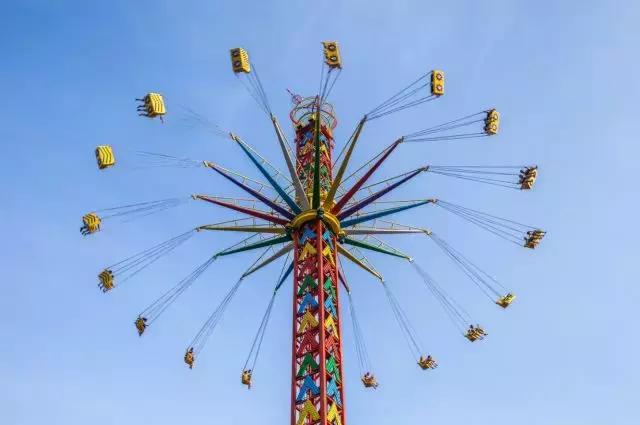 跟着萌宠过国庆，准备好迎接惊喜了吗？