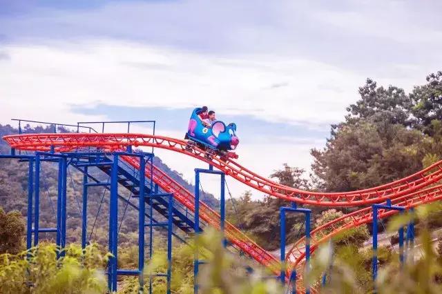 跟着萌宠过国庆，准备好迎接惊喜了吗？