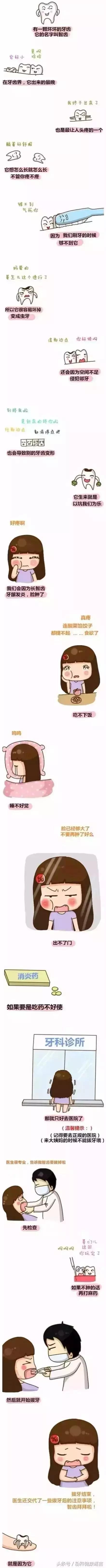 拔智齿注意事项告知,拔智齿有什么要注意的嘛