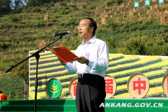祝贺汉阴县农民丰收节圆满成功,汉阴农民丰收节直播