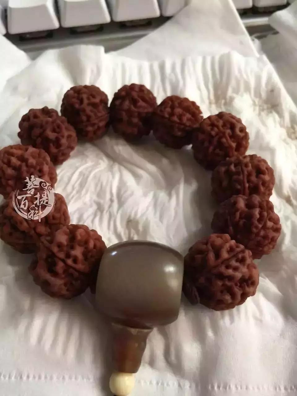 满肉大金刚包浆,尼泊尔大金刚六瓣包浆玉化好吗