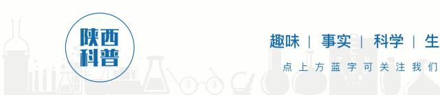 日常生活注意调整坐姿,不保持正确健康坐姿的危害