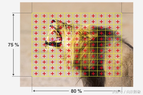 奥林巴斯配什么镜头,奥林巴斯配曲