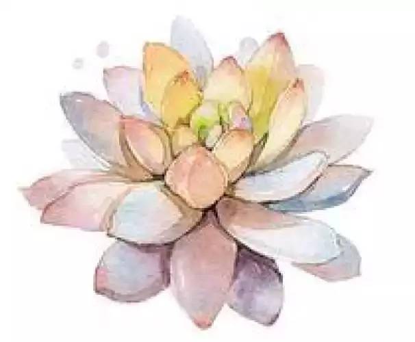 了解监狱发展历史参观陈列馆,见证监狱四十年发展