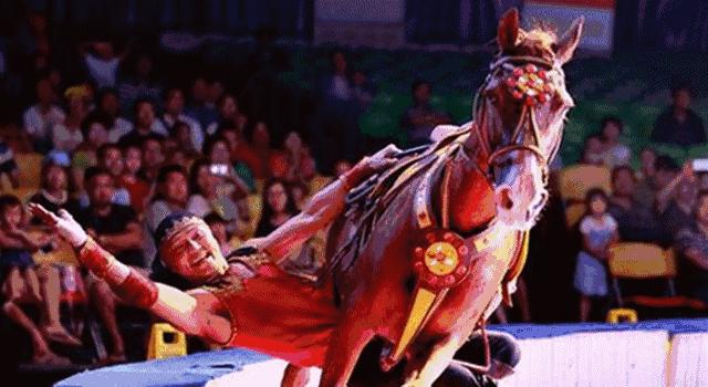 终于定了！世界皇家马戏嘉年华空降淮北吾悦广场！