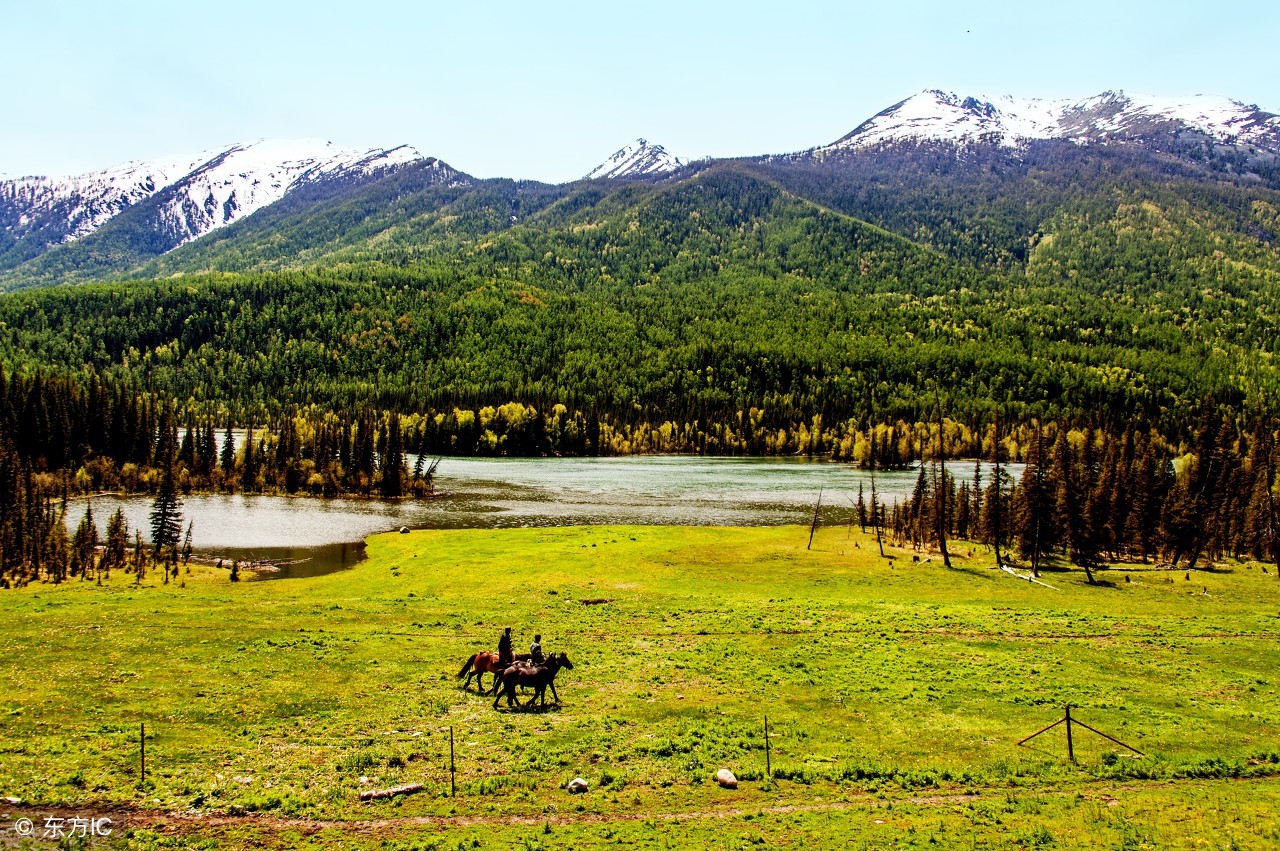 写作文最容易跑题的陷阱,为什么孩子写作文总是跑题