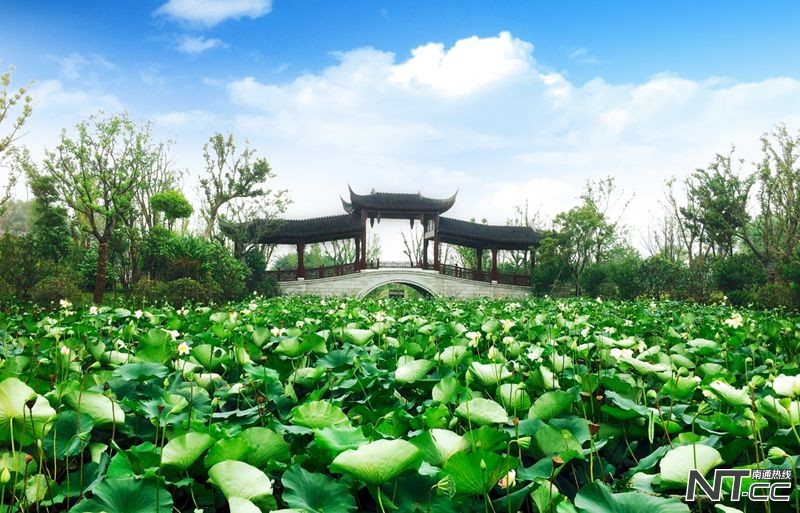 南通30家景区免费,南通野生动物园门票半价