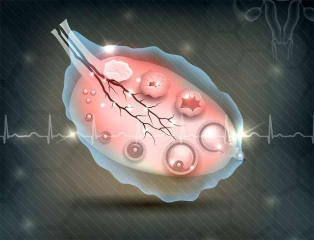月经40天的女人怎么计算排卵期,经期不准经常推迟怎么计算排卵期