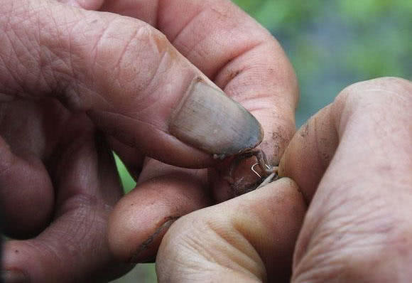 我的爸爸特别喜欢钓鱼,我的爸爸喜欢钓鱼作文二年级