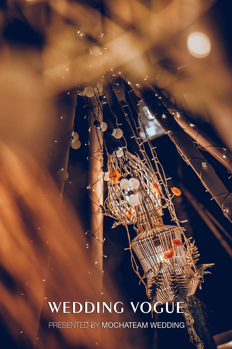 杨烁和王黎雯婚礼视频完整版,杨烁王黎雯婚礼现场全部视频