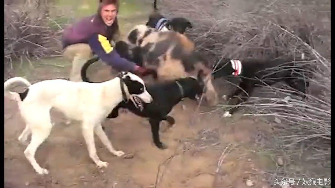 生活究竟有多么残酷,如果你觉得生活很苦不妨看一看