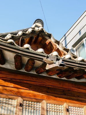 济州岛一年往返12次,到济州岛旅行行程