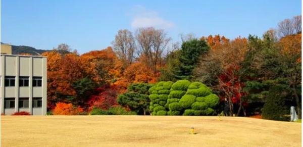 到济州岛旅行行程,济州岛一年往返12次