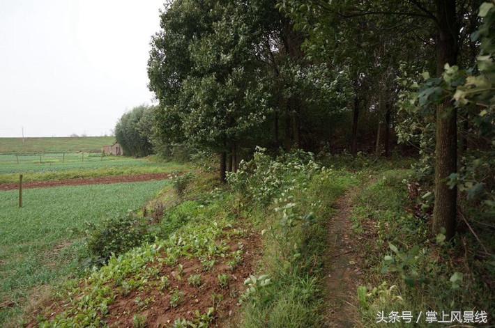 关公父子是怎么遇害的,关公败走麦城如何被杀