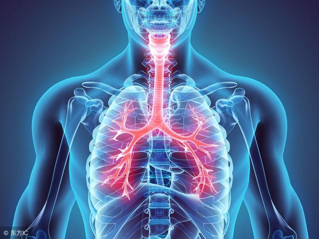 支气管炎反反复复怎么回事,支气管炎总是好不彻底怎么办