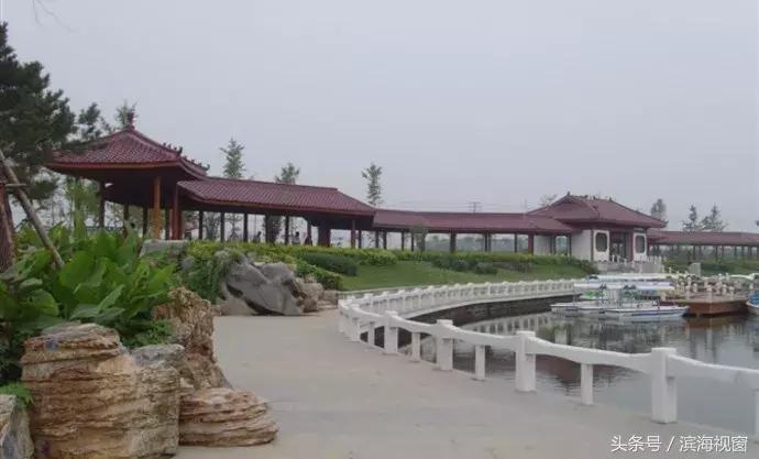 滨海新区最值得去的公园排名,滨海十大湿地公园