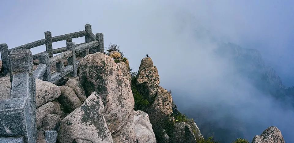 景区厕所测评,差评率最高的旅游景区