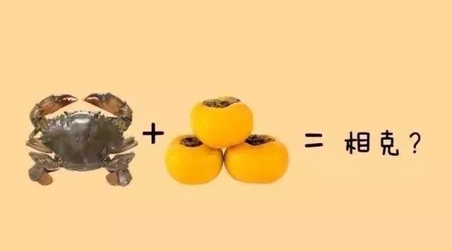 柿子背厉害还是白背厉害,螃蟹和柿子相克吗