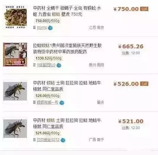 身价突然暴涨了,农村什么东西能卖100多元一斤