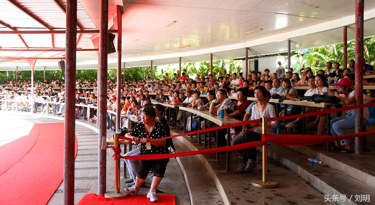 蚂蚁旅游专线云南之旅,蚂蚁旅游行