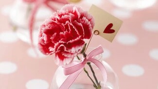 花语大全40种花的花语,花语大全50种花的花语读出来