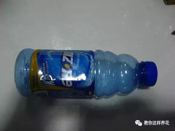 塑料瓶怎么剪可以种花,怎样剪矿泉水瓶种花
