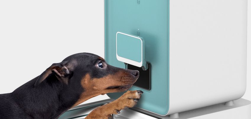 长假在即，铲屎官不敢出门？智能神器来帮你！