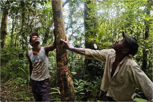 装修风云排名前十名,装修床避坑攻略