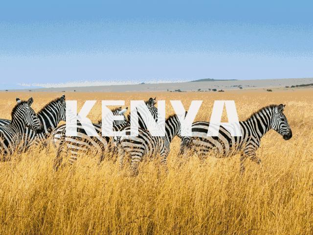 非洲丨生命大迁徙的狂奔之旅