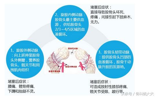 红斑狼疮吃1粒激素严重吗,得了红斑狼疮没有钱治疗怎么办啊