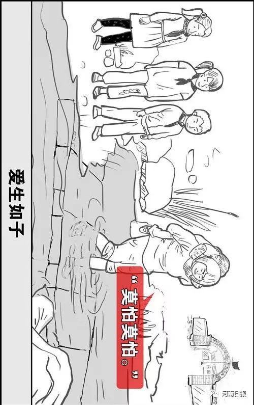 岭上开遍映山红原版,岭上开遍映山红