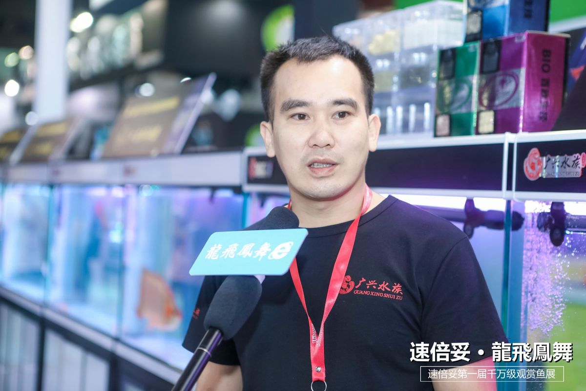 十大顶级巨型观赏鱼视频播放,顶级观赏鱼高清全屏视频