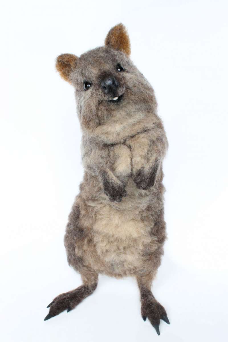 第一眼竟然以为它会动！26个好像有灵魂附体的拟真羊毛毡