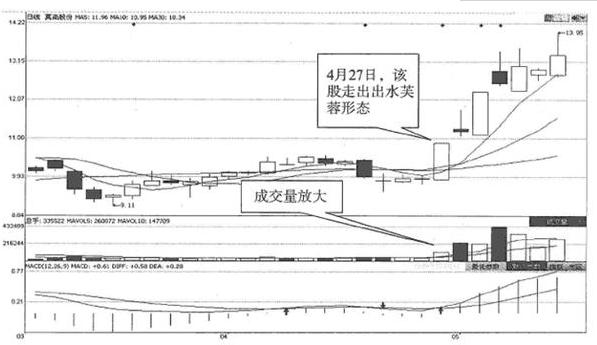 强势股k线组合,强势股k线特征