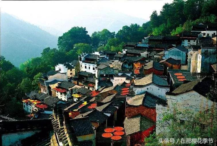 赣州宝葫芦农庄停了吗,赣州宝葫芦为什么会被拆除